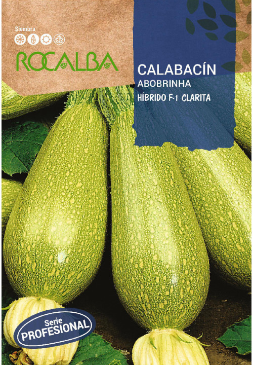 COURGETTE Hibrido F-1 Clarita