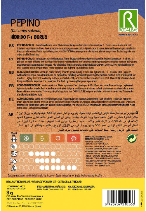 CONCOMBRE Híbrido F-1 Borus