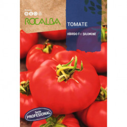 TOMATO Hibrido F-1 Salomone