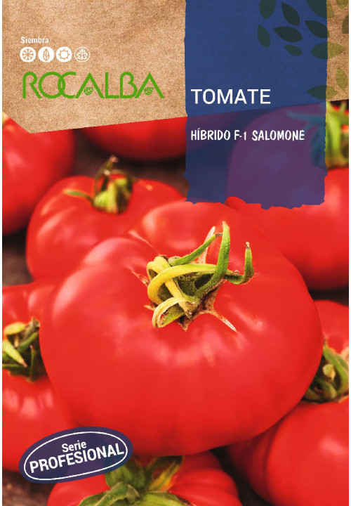 TOMATO Hibrido F-1 Salomone