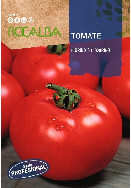 TOMATO Hibrido F-1 Touring