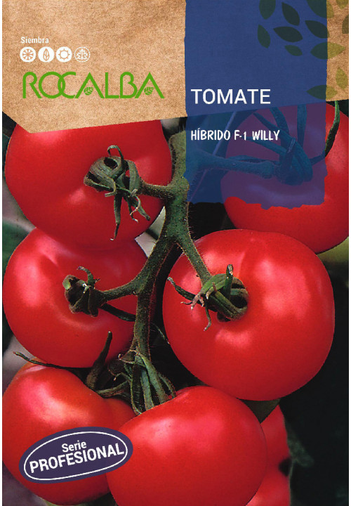 TOMATE Hibrido F-1 Willy