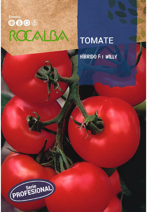 TOMATO Hibrido F-1 Willy