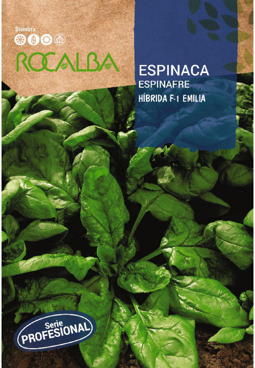 ESPINACA Hibrida F-1 Emilia