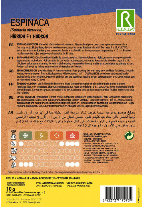 SPINACH Hibrida F-1 Hudson