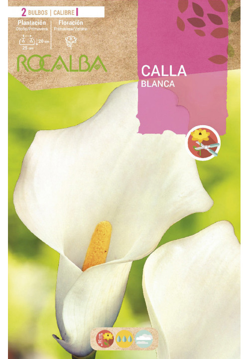 CALLAS -BLANCO