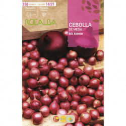 CEBOLLA COMRED -ROJA-