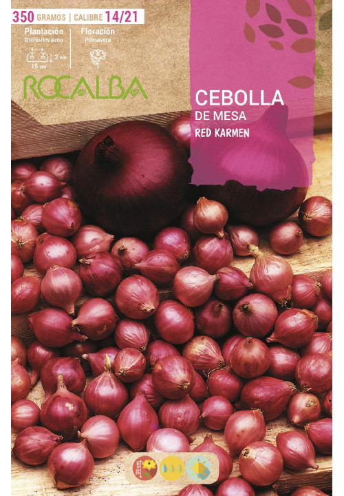 CEBOLLA COMRED -ROJA-