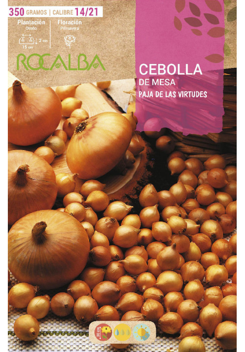 CEBOLLA PAJA VIRTUDES -AMARILLA-