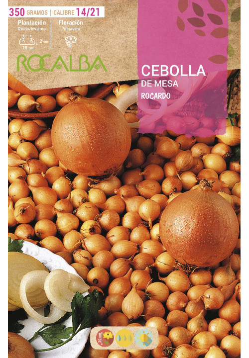 CEBOLLA ROCARDO -AMARILLA-