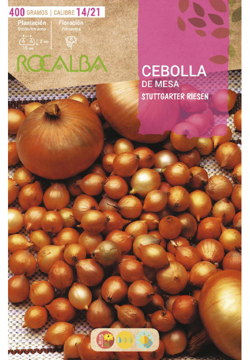 CEBOLLA STTUTGARTER RIESEN -AMARILLA-