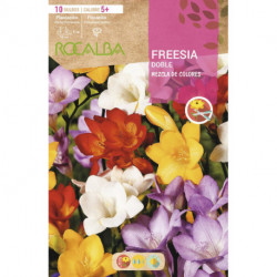 FREESIAS DOBLES -MEZCLA DE COLORES