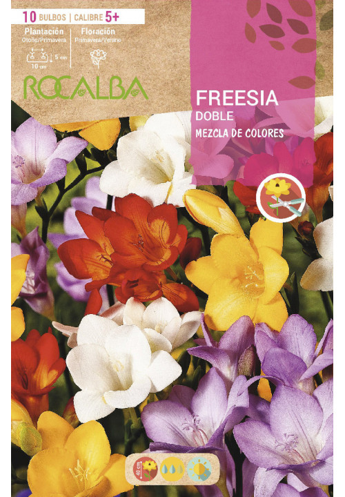 FREESIAS DOBLES -MEZCLA DE COLORES