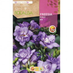 FREESIAS DOBLES -AZUL