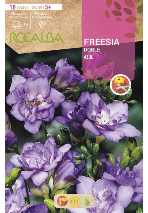 FREESIAS DOBLES -AZUL