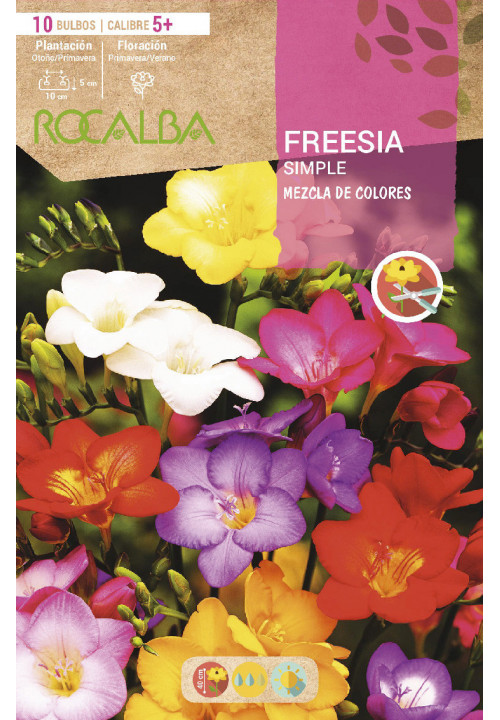 FREESIAS SIMPLES -MEZCLA DE COLORES