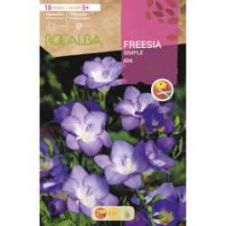 FREESIAS SIMPLES -AZUL