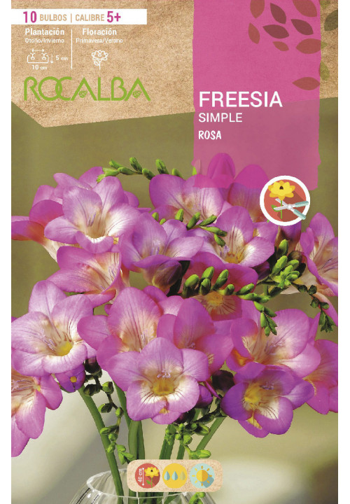 FREESIAS SIMPLES -ROSA