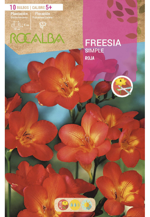 FREESIAS SIMPLES -ROJO