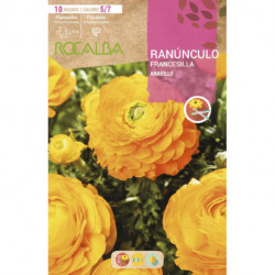 RANUNCULOS -AMARILLO