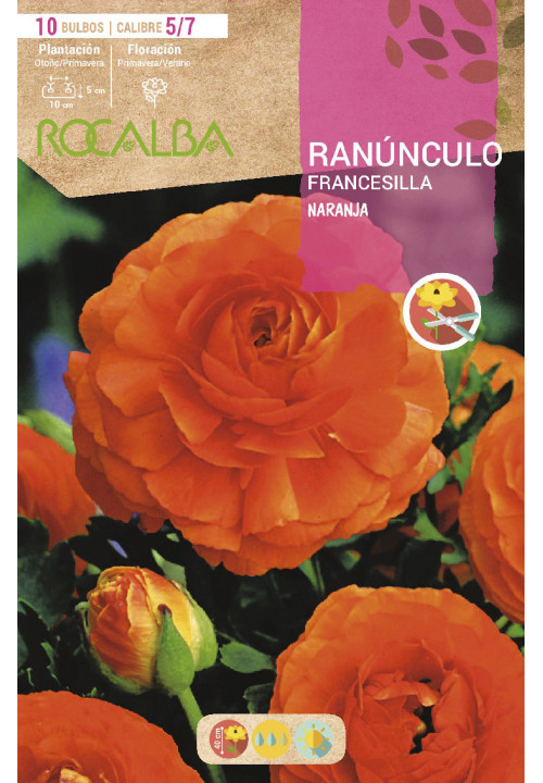 RANUNCULOS -NARANJA