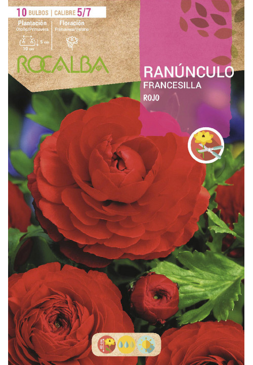 RANUNCULOS -ROJO