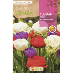 TULIPAN DOBLE -MEZCLA DE COLORES