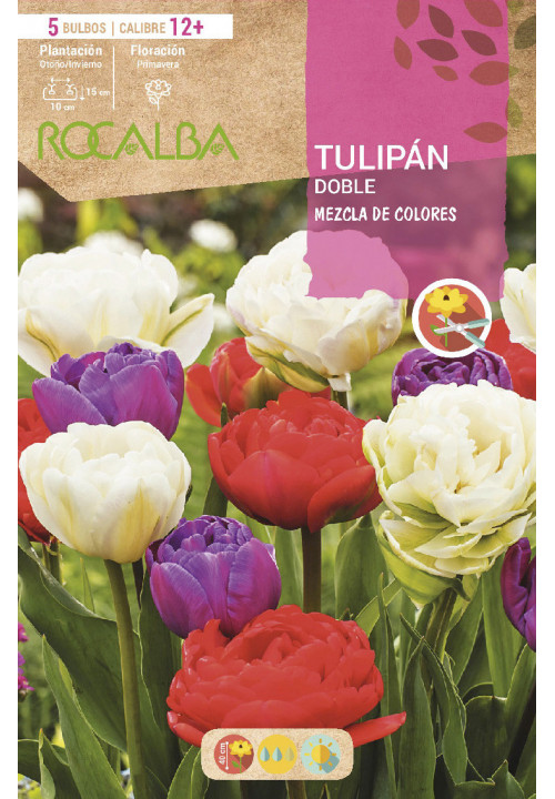 TULIPAN DOBLE -MEZCLA DE COLORES