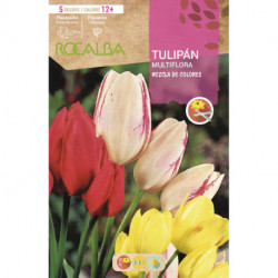 TULIPAN MULTIFLORA -MEZCLA DE COLORES