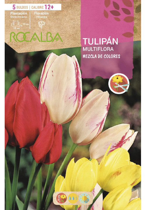 TULIPAN MULTIFLORA -MEZCLA DE COLORES