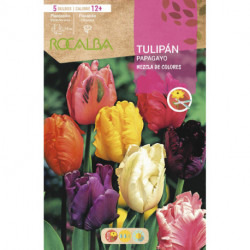 TULIPAN PAPAGAYO -MEZCLA DE COLORES