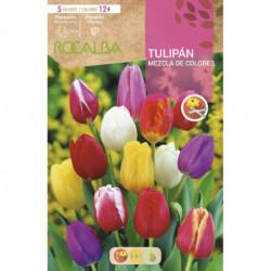 TULIPAN 12+ MEZCLA DE COLORES