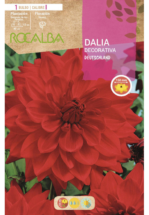 DEUTSCHLAND -ROJO ESCARLATA