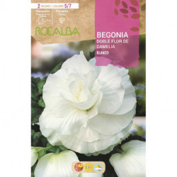 DOBLES FLOR DE CAMELIA -BLANCO