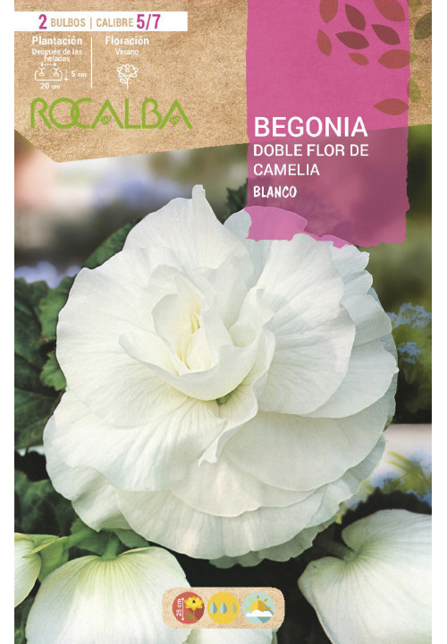 DOBLES FLOR DE CAMELIA -BLANCO