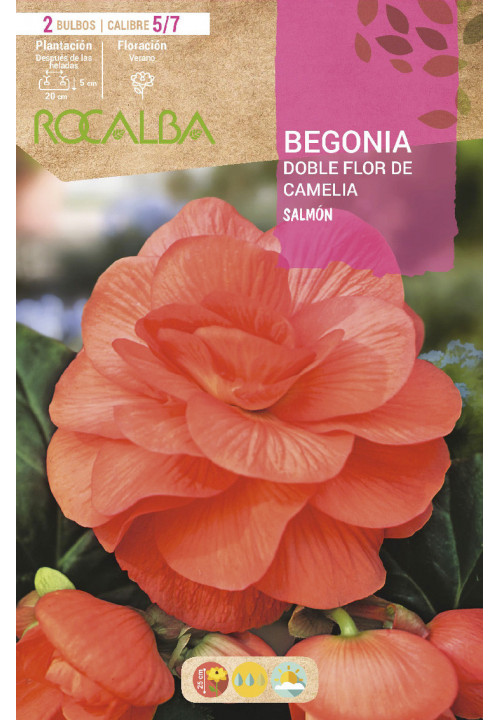 DOBLES FLOR DE CAMELIA -SALMON