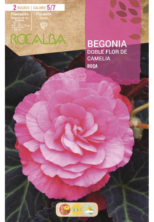 DOBLES FLOR DE CAMELIA  -ROSA