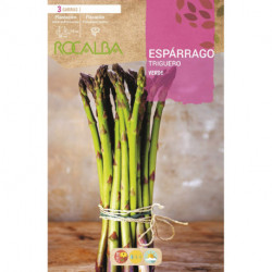 ASPARAGUS TRIGUERO -GREEN-