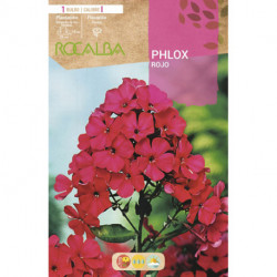 PHLOX -ROJO