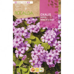 OXALIS DEPPEI -ROSA