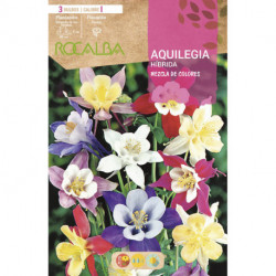 AQUILEGIA HIBRIDA -MEZCLA DE COLORES