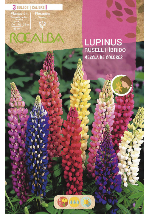 LUPINUS RUSSELL HIB. -MEZCLA DE COLORES