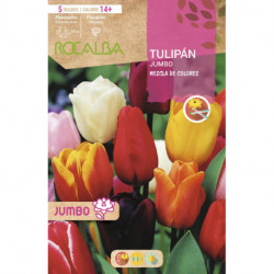 TULIPANES JUMBO -MEZCLA DE COLORES