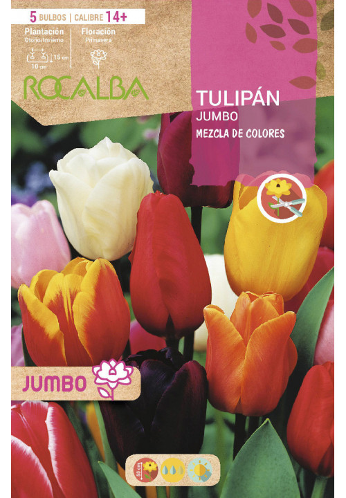 TULIPANES JUMBO -MEZCLA DE COLORES