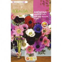 ANEMONAS SIMPLES CAEN EX.LARGA -MEZCLA