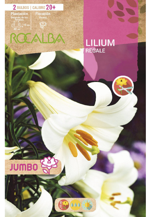 LILIUM JUMBO -BLANCO