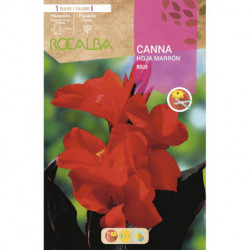 CANNAS -ROJO