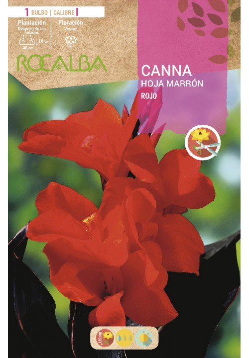 CANNAS -ROJO