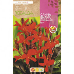 CANNAS  -ROJO