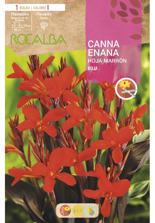 CANNAS  -ROJO